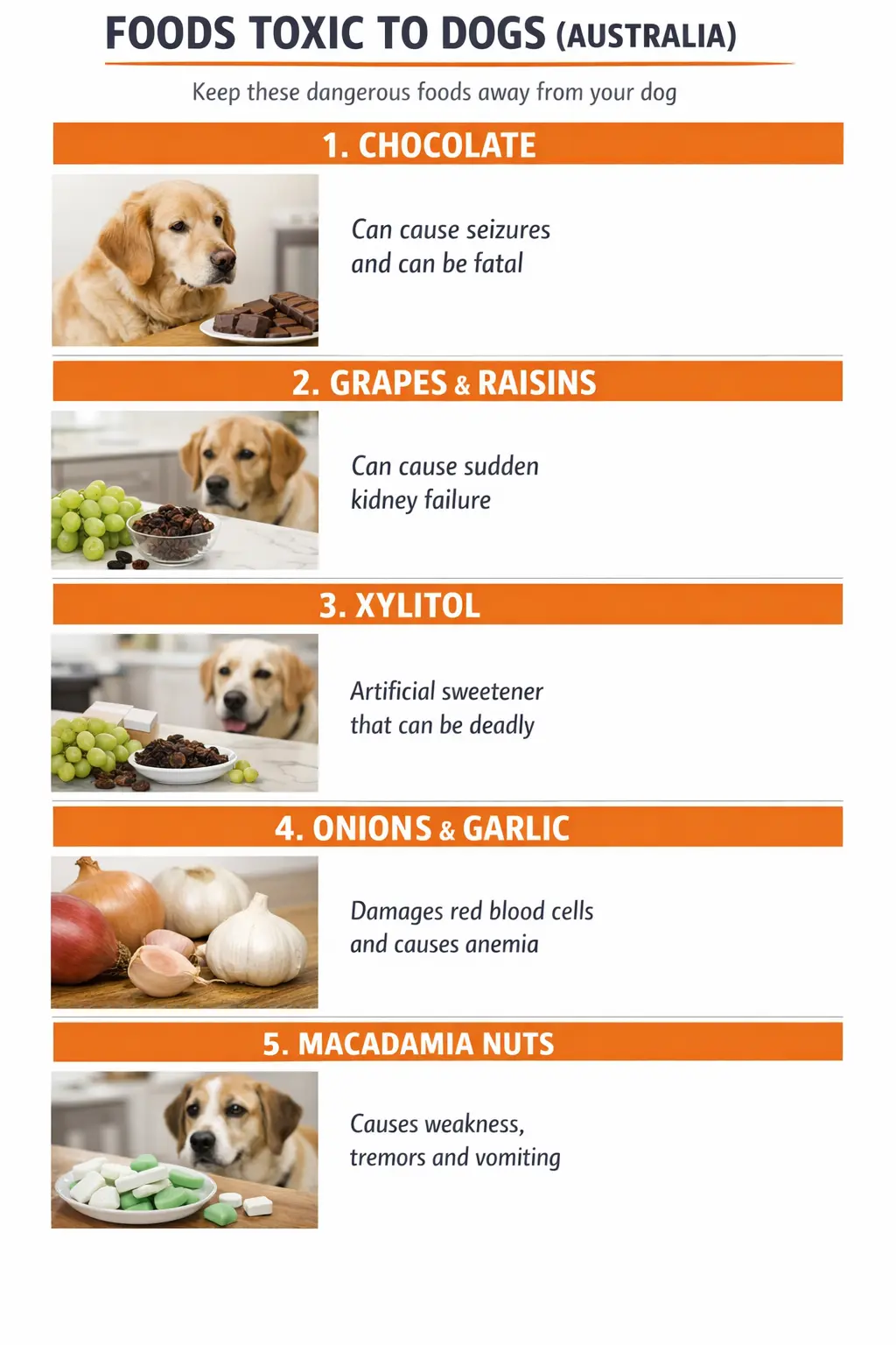 Foods Toxic to Dogs (Australia)