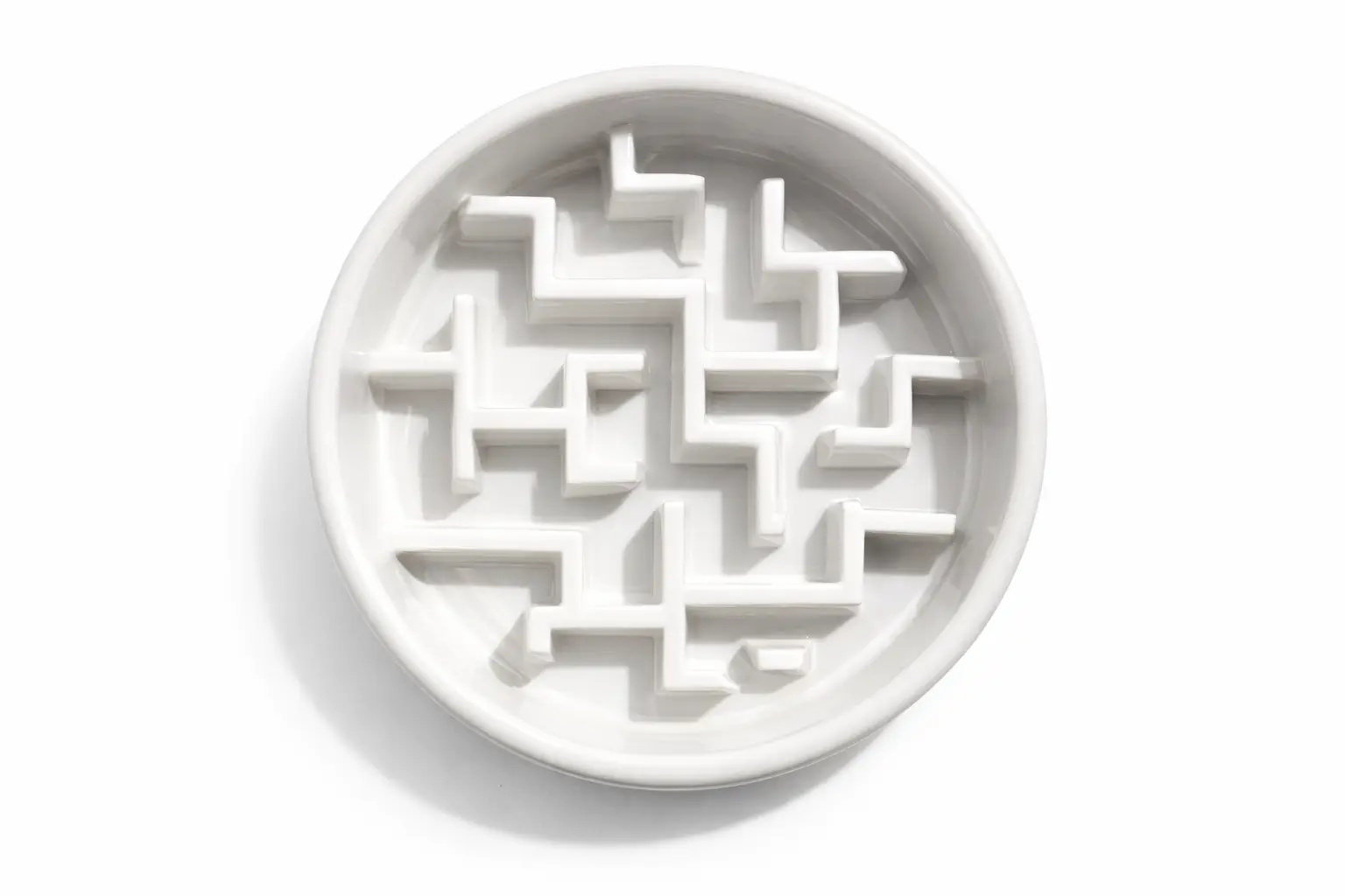 Ceramic Slow Feeder - Mental Stimulation