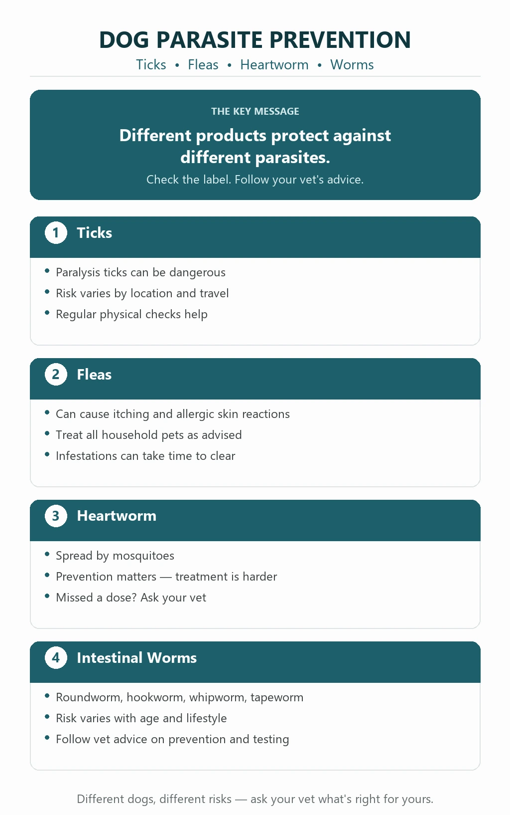 Dog Parasite Prevention in Australia: Ticks, Fleas, Heartworm and Worms