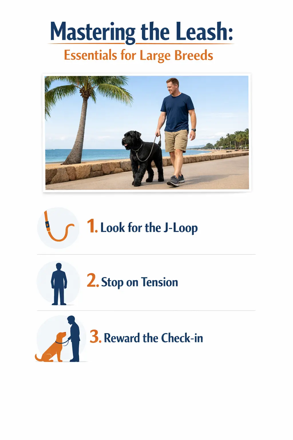 Mastering the Leash: Loose-Lead Essentials